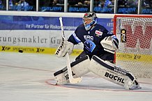 Straubing Tigers vs. ERC Ingolstadt, Eishockey, DEL, Deutsche Eishockey Liga, 12.03.2015