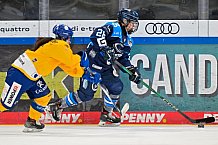 Eishockey, Frauen, DFEL, Saison 2025-2026, Testspiel, ERC Ingolstadt - HC Davos, 14.02.2026