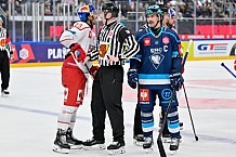 Hockey, Mens, CHL, Season 2025-2026, Regular Season, Round of 16, ERC Ingolstadt - EC Red Bull Salzburg, 12.11.2025
