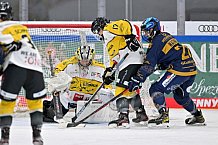 Eishockey, Frauen, DFEL, Saison 2022-2023, ERC Ingolstadt - Mad Dogs Mannheim, 19.11.2022
