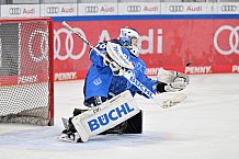 Eishockey, Frauen, DFEL, Saison 2023-2024, ERC Ingolstadt - Mad Dogs Mannheim, 18.02.2024
