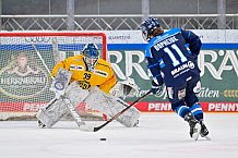 Eishockey, Frauen, DFEL, Saison 2025-2026, Testspiel, ERC Ingolstadt - HC Davos, 14.02.2026