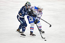 Eishockey, Frauen, DFEL, Saison 2021-2022, ERC Ingolstadt - ESC Planegg-Würmtal, 22.01.2021
