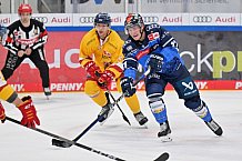Eishockey, Herren, DEL, Saison 2023-2024, Spieltag 6, ERC Ingolstadt - Düsseldorfer EG, 01.10.2023