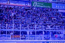 Eishockey, Herren, DEL, Saison 2026-2027, Spieltag 8, ERC Ingolstadt - Löwen Frankfurt, 11.10.2026