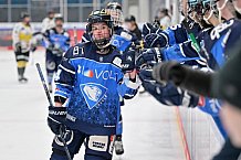 Eishockey, Frauen, DFEL, Saison 2023-2024, ERC Ingolstadt - Mad Dogs Mannheim, 18.02.2024