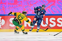 Hockey, Mens, CHL, Season 2025-2026, Regular Season, Game Day 1, ERC Ingolstadt - Ilves Tampere, 28.08.2025