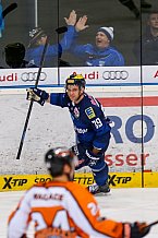 ERC Ingolstadt  - Grizzlys Wolfsburg, Eishockey, DEL, Deutsche Eishockey Liga, Spieltag 42, 31.01.2016
