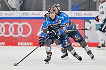 Eishockey, Herren, DEL, Saison 2023-2024, Spieltag 38, ERC Ingolstadt - Adler Mannheim, 14.01.2024