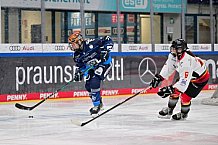 Eishockey, Frauen, DFEL, Saison 2024-2025, ERC Ingolstadt - EC Bergkamener Bären, 04.01.2025