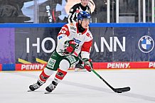 Eishockey, Herren, DEL, Saison 2026-2027, Spieltag 10, ERC Ingolstadt - Augsburger Panther, 18.10.2026