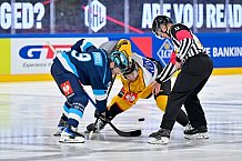 Hockey, Mens, CHL, Season 2025-2026, Regular Season, Game Day 2, ERC Ingolstadt - Kalpa Kuopio, 30.08.2025