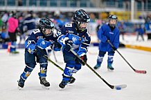 Eishockey, Saison 2025-2026, ERC Ingolstadt - Kids On Ice Day, 29.11.2025