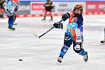 Eishockey, Frauen, DFEL, Saison 2024-2025, ERC Ingolstadt - EC Bergkamener Bären, 05.01.2025