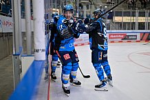 Eishockey, Herren, DEL, Saison 2025-2026, Spiel 16, ERC Ingolstadt - Kölner Haie, 31.10.2025