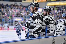 Eishockey, Herren, DEL, Saison 2024-2025, Spieltag 8, ERC Ingolstadt - Grizzlys Wolfsburg, 11.10.2024
