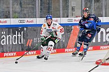 Eishockey, Herren, DEL, Saison 2023-2024, Spieltag 35, ERC Ingolstadt - Augsburger Panther, 05.01.2024