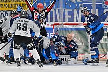 Eishockey, Herren, DEL, Saison 2024-2025, Spieltag 42, ERC Ingolstadt - Kölner Haie, 31.01.2025