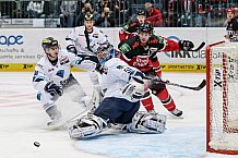 Koelner Haie - ERC Ingolstadt, Eishockey, Herren, Maenner, DEL, Spieltag 13, 23.10.2015