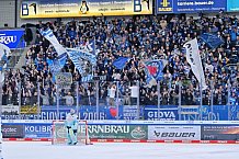 Eishockey, Herren, DEL, Saison 2025-2026, Spiel 44, ERC Ingolstadt - Dresdner Eislöwen, 27.01.2026