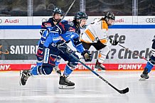 Eishockey, Nachwuchs, U17, DEB, Saison 2024-2025, ERC Ingolstadt - EV Füssen, 15.02.2025