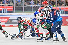 Eishockey, Herren, DEL, Saison 2024-2025, Spieltag 35, ERC Ingolstadt - Augsburger Panther, 10.01.2025