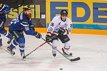 ERC Ingolstadt  - Grizzlys Wolfsburg, Eishockey, DEL, Deutsche Eishockey Liga, Spieltag 37, 13.01.2017