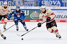 Eishockey, Herren, DEL, Saison 2024-2025, Playoffs Viertelfinale, Spiel 1, ERC Ingolstadt - Nürnberg Ice Tigers, 16.03.2025