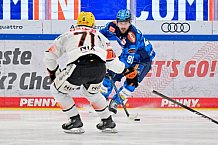 Eishockey, Herren, DEL, Saison 2025-2026, Spiel 37, ERC Ingolstadt - Löwen Frankfurt, 06.01.2026