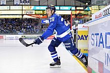 ERC Ingolstadt vs Adler Mannheim, DEL, Deutsche Eishockey Liga, Spieltag 46, 15.02.2019