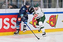 Eishockey, Mens, CHL, Season 2023-2024, ERC Ingolstadt - Färjestad Karlstad, 02.09.2023