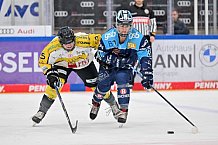 Eishockey, Frauen, DFEL, Halbfinale, Saison 2022-2023, ERC Ingolstadt - Mad Dogs Mannheim, 25.02.2023