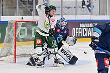 Eishockey, Mens, CHL, Season 2023-2024, ERC Ingolstadt - Färjestad Karlstad, 02.09.2023