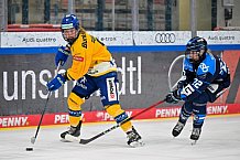 Eishockey, Frauen, DFEL, Saison 2025-2026, Testspiel, ERC Ingolstadt - HC Davos, 14.02.2026