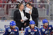 Eishockey, Herren, DEL, Saison 2020-2021, Adler Mannheim - ERC Ingolstadt, 24.01.2021