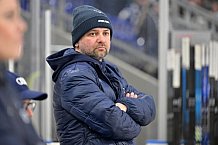 Eishockey, Herren, DEL, Saison 2024-2025, Spieltag 39, Straubing Tigers - ERC Ingolstadt, 24.01.2025