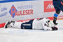 Eishockey, Herren, DEL, Saison 2023-2024, Spieltag 38, ERC Ingolstadt - Adler Mannheim, 14.01.2024