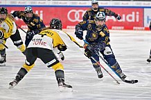 Eishockey, Frauen, DFEL, Saison 2022-2023, ERC Ingolstadt - Mad Dogs Mannheim, 19.11.2022