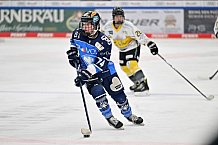 Eishockey, Frauen, DFEL, Saison 2023-2024, ERC Ingolstadt - Mad Dogs Mannheim, 18.02.2024