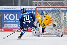 Eishockey, Frauen, DFEL, Saison 2025-2026, Testspiel, ERC Ingolstadt - HC Davos, 14.02.2026