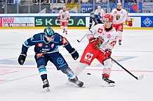 Hockey, Mens, CHL, Season 2025-2026, Regular Season, Game Day 6, ERC Ingolstadt - Odense Bulldogs, 15.10.2025