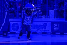 Eishockey, Herren, DEL, Saison 2025-2026, Spiel 26, ERC Ingolstadt - Schwenninger Wild Wings, 07.12.2025