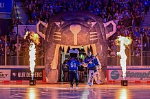 Eishockey, Herren, DEL, Saison 2026-2027, Spieltag 2, ERC Ingolstadt - Nürnberg Ice Tigers, 20.09.2026