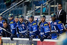 ERC Ingolstadt - Krefeld Pinguine, Eishockey, DEL, Deutsche Eishockey Liga, Spieltag 15, 22.10.2017, Foto: OLIVER STRISCH / st-foto.de