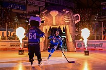 Eishockey, Herren, DEL, Saison 2026-2027, Spieltag 8, ERC Ingolstadt - Löwen Frankfurt, 11.10.2026
