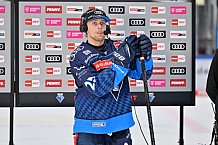 Eishockey, Herren, DEL, Saison 2024-2025, Spieltag 32, ERC Ingolstadt - Adler Mannheim, 30.12.2024