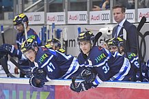 ERC Ingolstadt vs Schwenninger Wild Wings, DEL, Deutsche Eishockey Liga, Spieltag 48, 19.02.2019