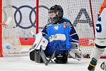 Eishockey, Saison 2025-2026, ERC Ingolstadt - Kids On Ice Day, 10.01.2026