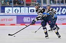 Eishockey, Herren, DEL, Saison 2024-2025, Spieltag 22, ERC Ingolstadt - Düsseldorfer EG, 01.12.2024