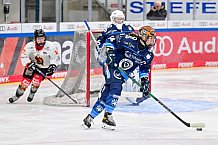 Eishockey, Frauen, DFEL, Saison 2024-2025, ERC Ingolstadt - EC Bergkamener Bären, 04.01.2025